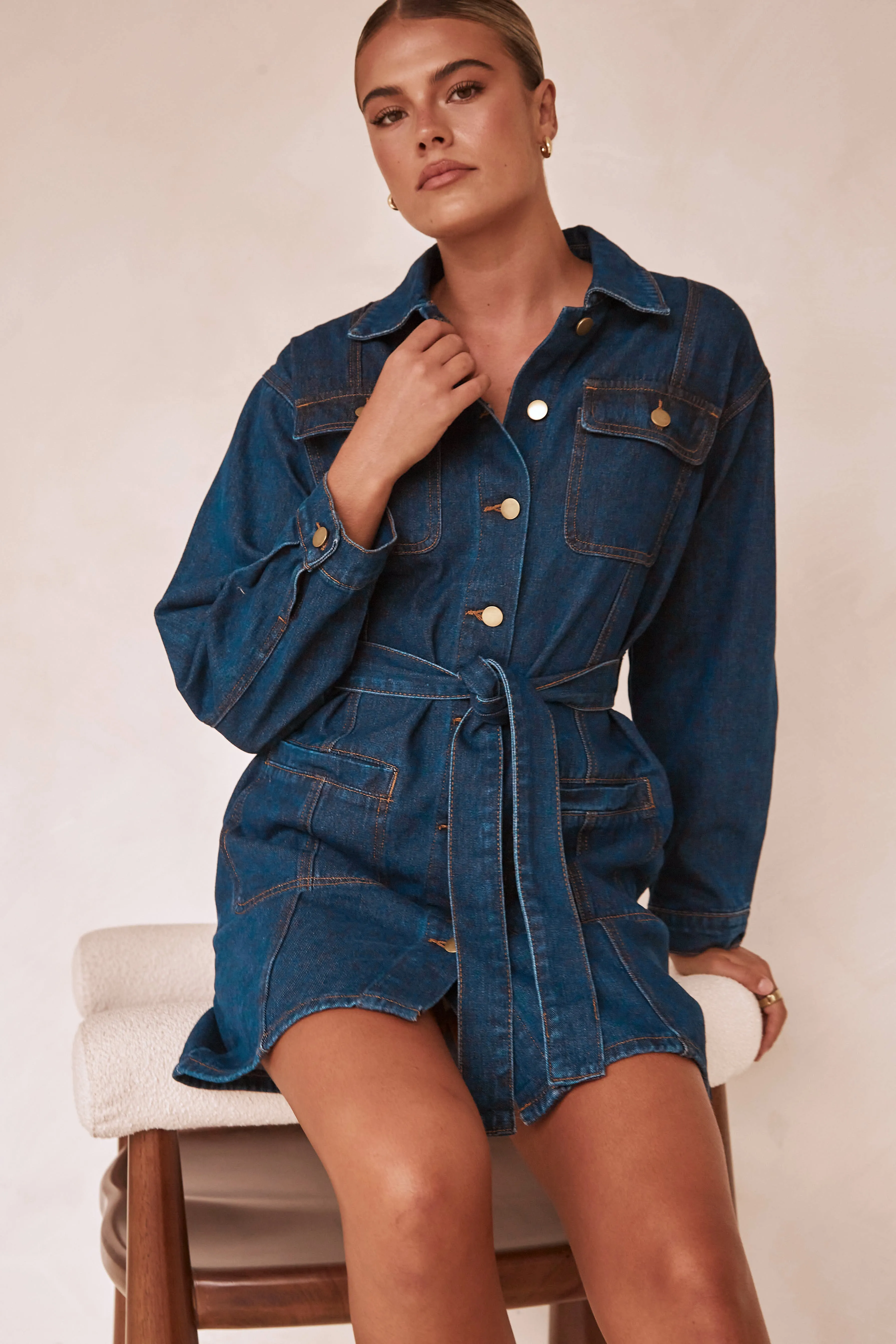 Cohen Denim Mini Dress (Blue)